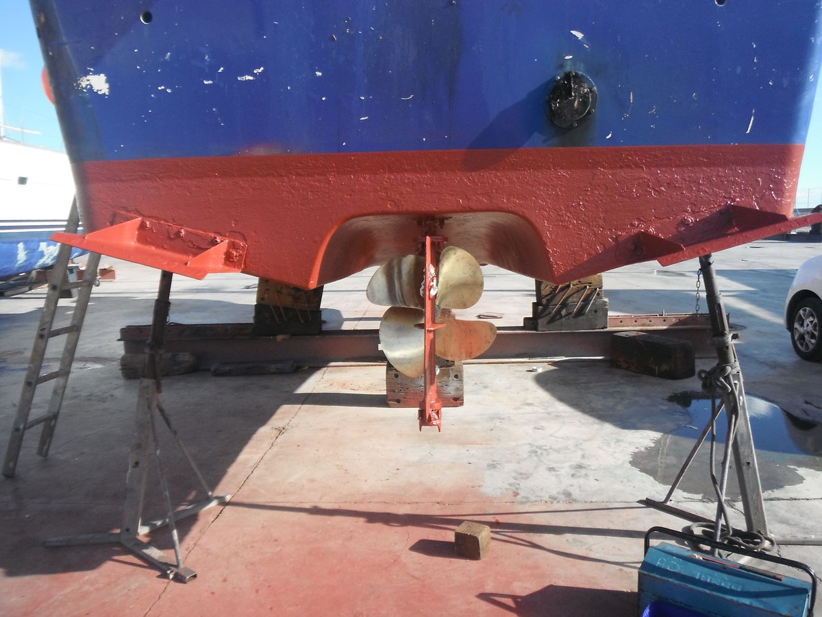 Imagen de Capitol 11 - 2019